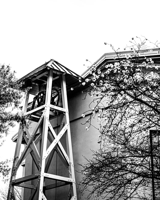 Athens Ga University Bell Tower