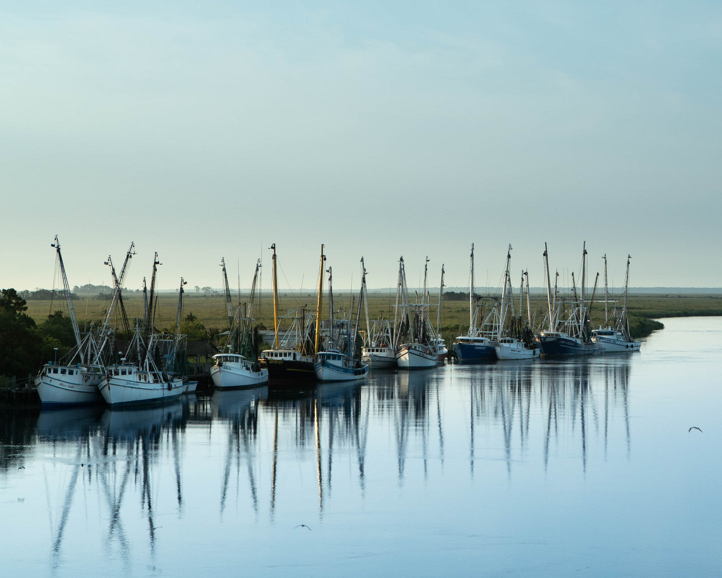 Shrimp Boat fleet Darien Georgia